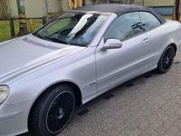 Gebraucht Mercedes CLK200 Avantgarde 184 PS (135 kW) 2007 Cabrio