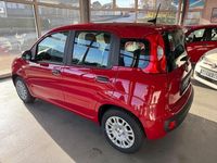 Neu Fiat Panda 69 PS (50 kW) 2025 Rot Kleinwagen