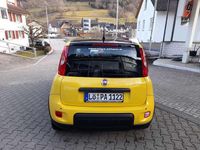 Gebraucht Fiat Panda 69 PS (50 kW) 2024 Bicolore gelb/dach schwarz Kleinwagen