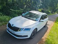 Gebraucht Skoda Octavia G-TEC 110 PS (80 kW) 2018 Weiß Kombi
