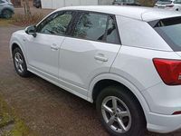 Gebraucht Audi Q2 116 PS (85 kW) 2019 Weiß SUV