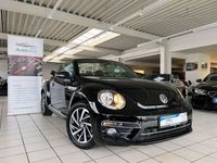 gebraucht VW Beetle Cabriolet DSG Sound BMT Navigation PDC