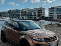 Gebraucht Land Rover Range Rover evoque 190 PS (139 kW) 2014 Beige SUV