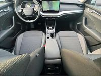 Gebraucht Skoda Octavia Selection 150 PS (110 kW) 2025 Weiß (metallic) Limousine