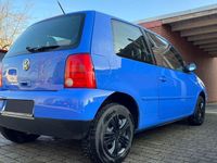 Gebraucht VW Lupo Basis 50 PS (36 kW) 2002 Blau Kleinwagen