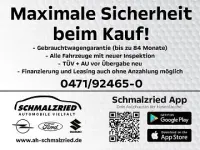 Neu BYD Dolphin Surf Boost 64 kW (88 PS) 2025 Grün Kleinwagen