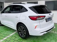 Gebraucht Ford Kuga ST-Line X 224 PS (164 kW) 2022 Weiß SUV