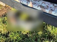 Gebraucht Lada Taiga 84 PS (61 kW) 2018 Andere farben SUV