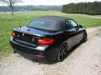 Używany BMW M235 Performance 326 KM (239 kW) 2014 Czarny Kabriolet