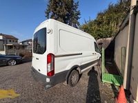Gebraucht Ford Transit 125 PS (91 kW) 2016 Weiß Van / Kleinbus