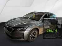 Gebraucht Skoda Octavia Tour 150 PS (110 kW) 2025 Graphitegrau metallic Kombi