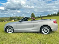 Gebraucht BMW 220 Advantage 184 PS (135 kW) 2016 Silber Cabrio