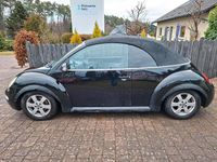 Gebraucht VW New Beetle Cabriolet 75 PS (55 kW) 2003 Schwarz Cabrio