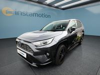 Gebraucht Toyota RAV4 Hybrid 222 PS (163 kW) 2020 Grau SUV
