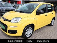 Neu Fiat Panda 69 PS (50 kW) 2025 Gelb Kleinwagen