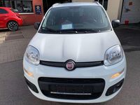 Gebraucht Fiat Panda 69 PS (50 kW) 2020 Weiß Kleinwagen