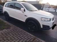 Gebraucht Chevrolet Captiva LT 222 PS (163 kW) 2013 Weiß SUV