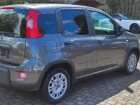 Gebraucht Fiat Panda 69 PS (50 kW) 2023 Grau Kleinwagen