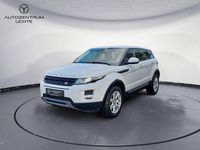 Gebraucht Land Rover Range Rover evoque Pure 150 PS (110 kW) 2014 Weiß SUV