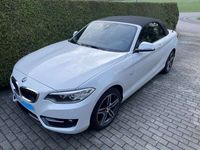 gebraucht BMW 220 220 i Cabrio Sport Line