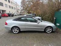Gebraucht Mercedes CLK200 184 PS (135 kW) 2008 Silber Cabrio
