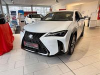 Gebraucht Lexus UX 300h Sport Design Packet 199 PS (146 kW) 2024 Fuji weiß SUV