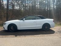 Gebraucht Audi A5 Cabriolet S-Line 177 PS (130 kW) 2014 Weiß Cabrio