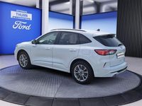 Gebraucht Ford Kuga ST-Line X 224 PS (164 kW) 2022 Frozen white SUV
