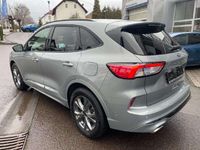 Gebraucht Ford Kuga ST-Line 150 PS (110 kW) 2022 Solarsilber SUV