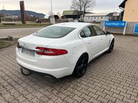 Gebraucht Jaguar XF 190 PS (139 kW) 2012 Weiß Limousine