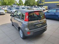 gebraucht Fiat Panda 1,0l 70 PS**5 Radio_Klima_Start&Stopp**