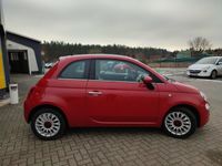 gebraucht Fiat 500 Red 1.0 Mild-Hybrid Android Auto