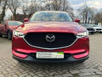 gebraucht Mazda CX-5 Sports-Line 184 PS AWD *Leder*Navi*Technik* Sports