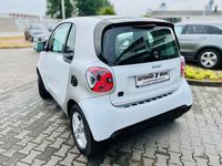 Gebraucht Smart ForTwo Coupé Exclusive 60 kW (82 PS) 2021 Weiß Kleinwagen