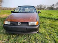 Gebraucht VW Polo 50 PS (36 kW) 1998 Schwarz Kleinwagen