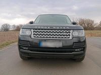 Gebraucht Land Rover Range Rover Vogue 340 PS (250 kW) 2016 Grau SUV