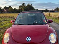 Gebraucht VW Beetle Cabriolet 105 PS (77 kW) 2007 Rot Cabrio