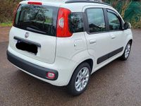 Gebraucht Fiat Panda 69 PS (50 kW) 2012 Weiß Kleinwagen