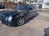 gebraucht Mercedes CLK230 