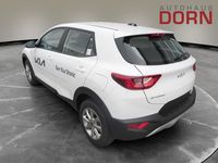 Neu Kia Stonic Edition 7 101 PS (74 kW) 2025 Weiß SUV