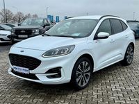 Gebraucht Ford Kuga ST-Line X 224 PS (164 kW) 2022 Weiß SUV