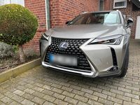 Gebraucht Lexus UX 250h Launch Edition 184 PS (135 kW) 2020 Silber SUV