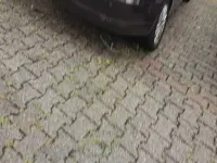 Gebraucht VW Eos 105 PS (77 kW) 2006 Braun Cabrio