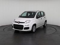 Neu Fiat Panda 69 PS (50 kW) 2025 Weiß, weiß uni Kleinwagen