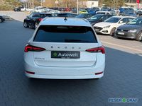 Gebraucht Skoda Octavia 116 PS (85 kW) 2021 Candy weiss Kombi