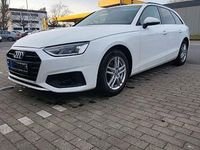 Gebraucht Audi A4 163 PS (119 kW) 2023 Weiß Kombi