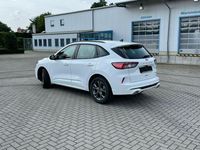 Gebraucht Ford Kuga ST-Line 224 PS (164 kW) 2020 Weiß SUV