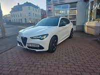 Gebraucht Alfa Romeo Stelvio 280 PS (205 kW) 2024 Weiß SUV