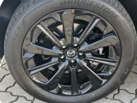 Neu Mazda CX-60 Homura-Line 254 PS (186 kW) 2026 Blau SUV