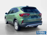 Gebraucht Ford Kuga Titanium 152 PS (111 kW) 2025 Burstinggreen (grün) (metallic) SUV